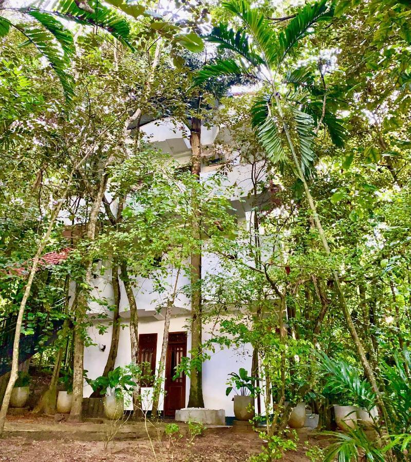 Nature Will Ahangama Exterior foto