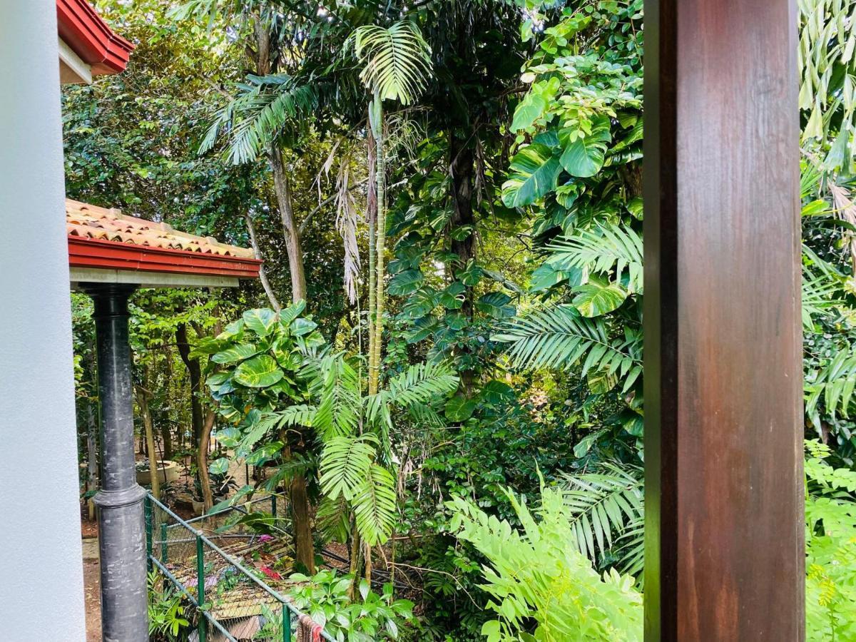 Nature Will Ahangama Exterior foto