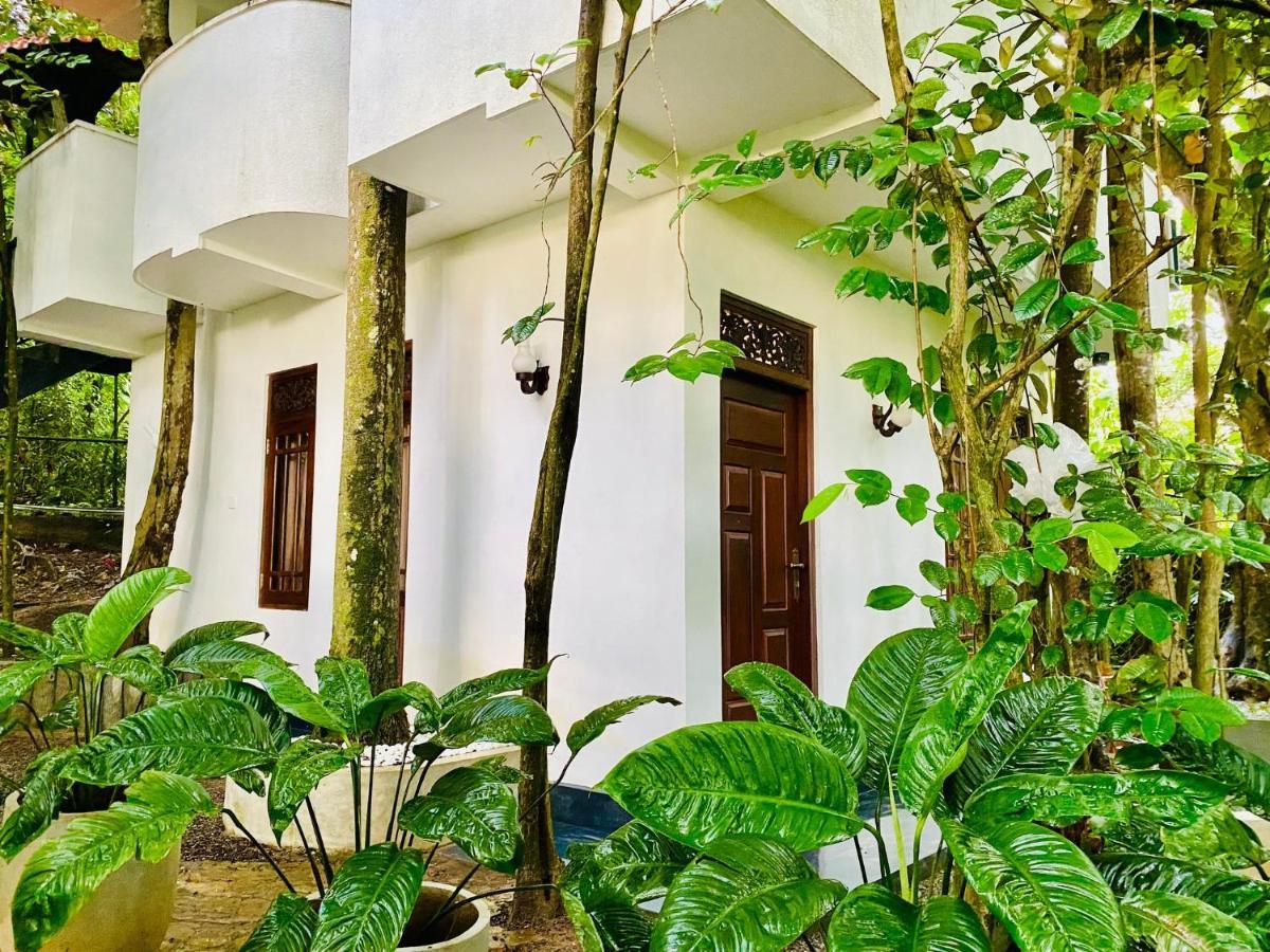 Nature Will Ahangama Exterior foto
