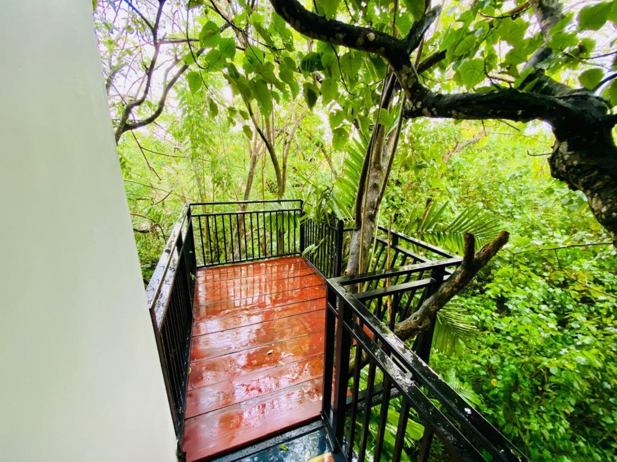 Nature Will Ahangama Exterior foto