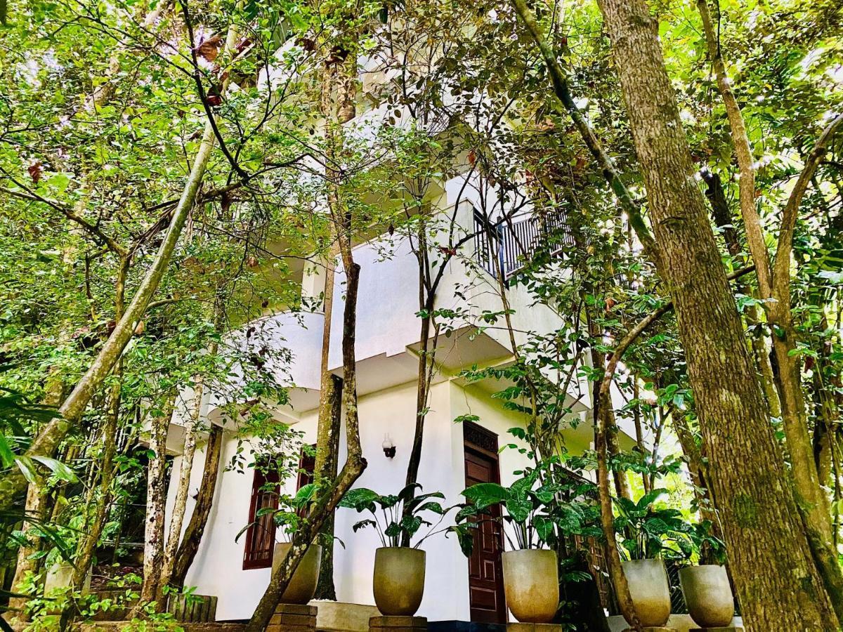Nature Will Ahangama Exterior foto