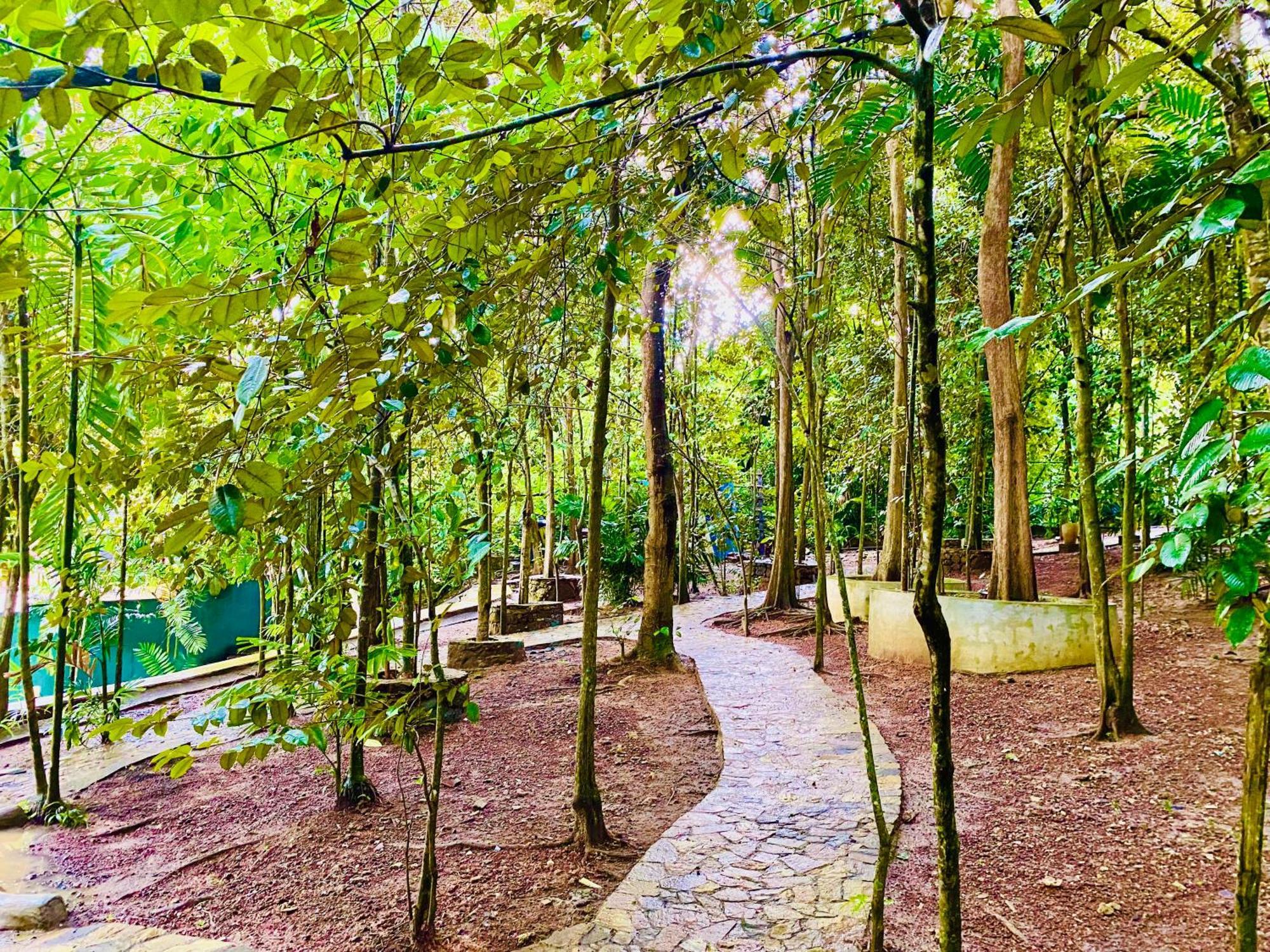 Nature Will Ahangama Exterior foto